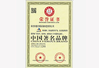 中(zhōng)國(guó)著名(míng)品牌荣誉证书